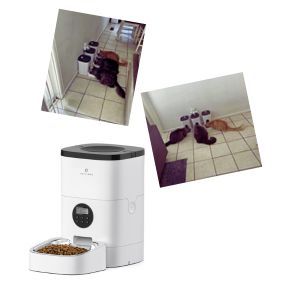PETLIBRO's Automatic & Timed Cat Feeder